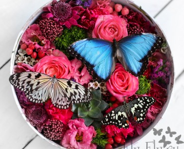 Бабочки в коробке с цветами купить горшки вазы купить для цветов